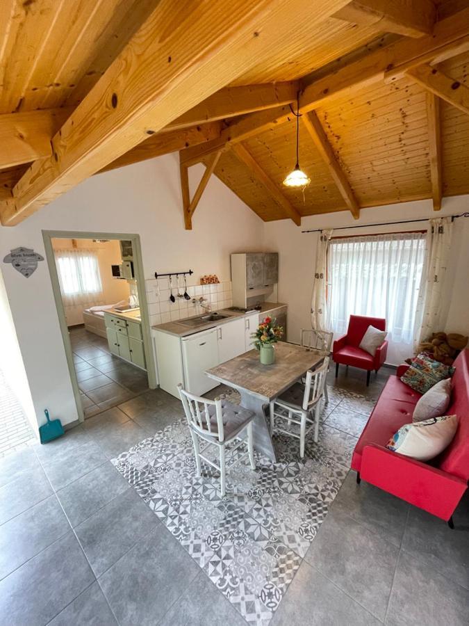 Ibolya Apartman Csisztapuszta 外观 照片